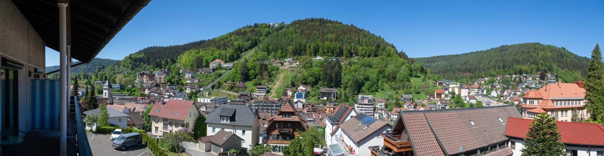 Aparthotel Schwarzwald Panorama Бад Вилдбад Стая снимка