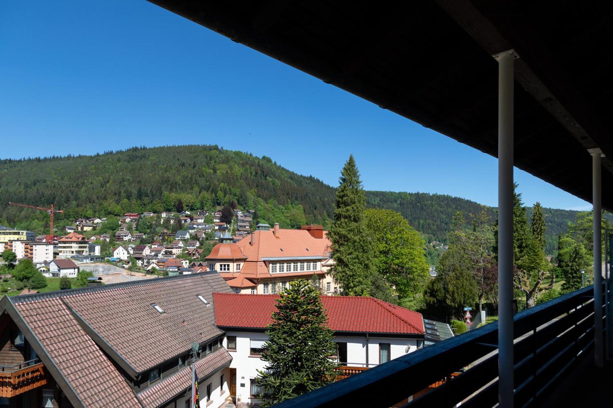 Aparthotel Schwarzwald Panorama Бад Вилдбад Стая снимка